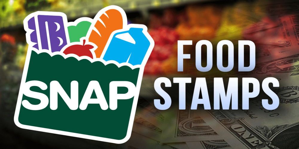 EBT Snap Food Stamps NYC