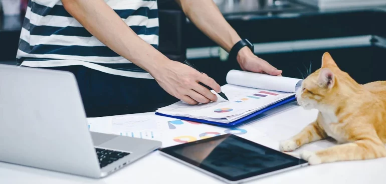 Pet Tax Deductions 2025